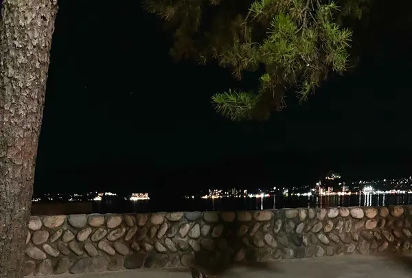 ホテルみや離宮の写真・動画_image_626020