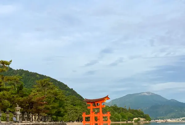 御笠浜の写真・動画_image_626033