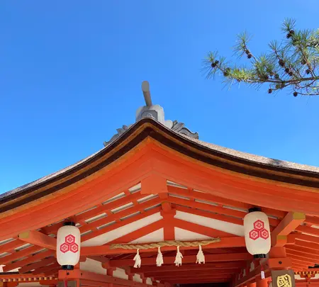 厳島神社の写真・動画_image_626040