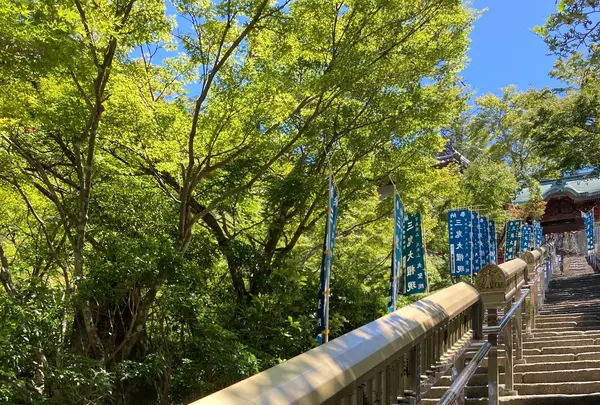 大聖院の写真・動画_image_626056