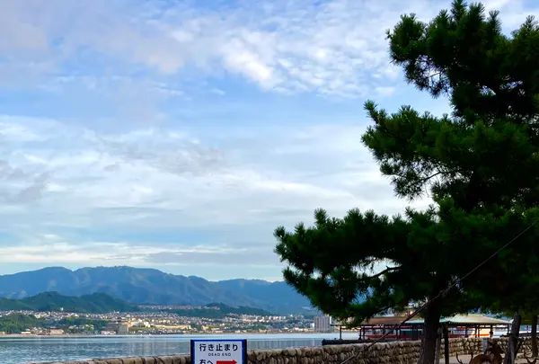 ホテルみや離宮の写真・動画_image_626069