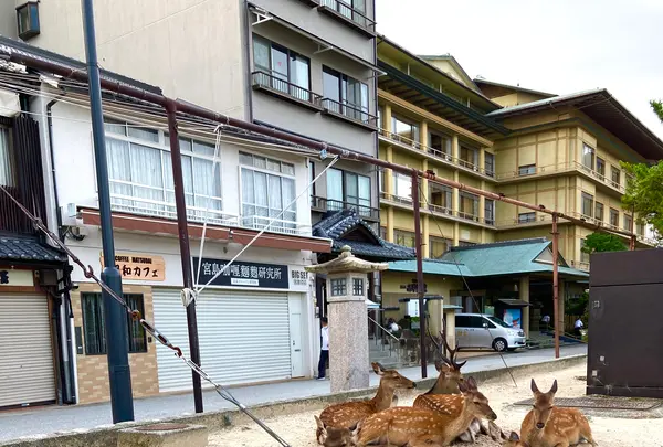 ホテルみや離宮の写真・動画_image_626070