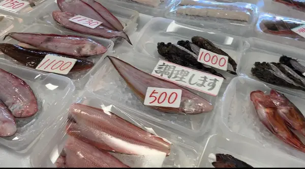 笠岡ベイファームの写真・動画_image_626397