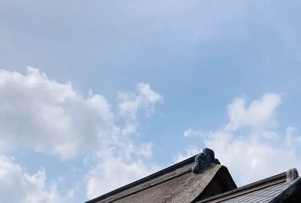禅林街の写真・動画_image_627222