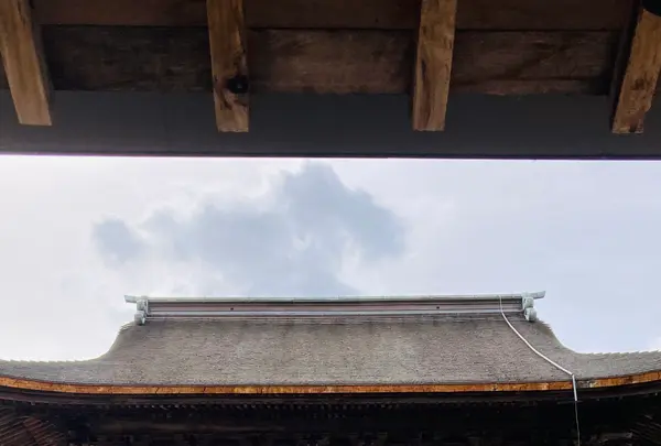 禅林街の写真・動画_image_627223