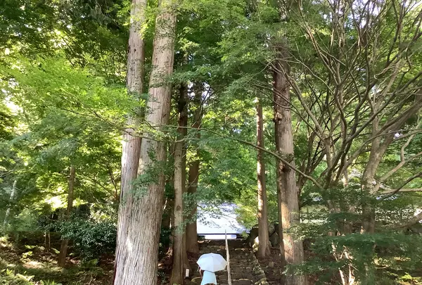 菩提寺の写真・動画_image_627491