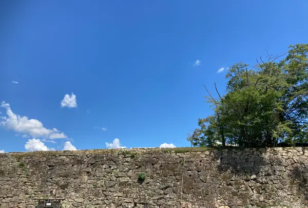 津山城跡の写真・動画_image_627524