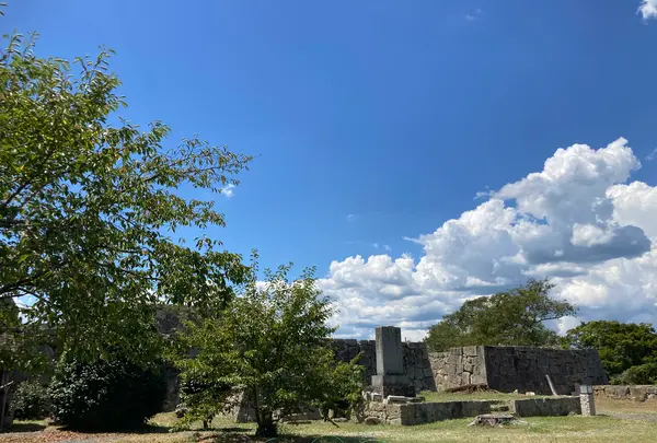 津山城跡の写真・動画_image_627525