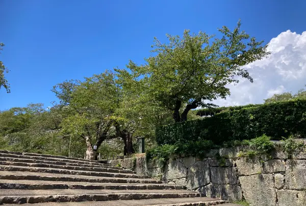 津山城跡の写真・動画_image_627529