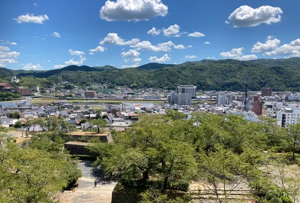 津山城跡の写真・動画_image_627534