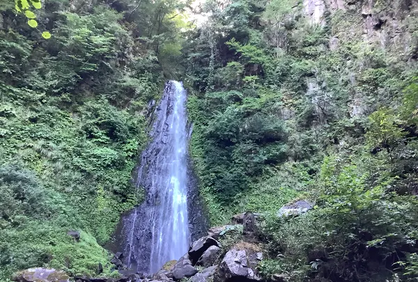 雨滝の写真・動画_image_627747