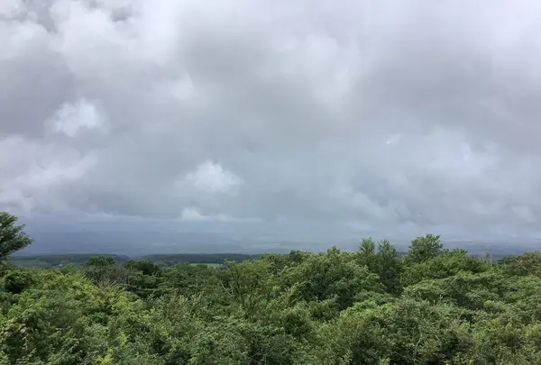 リストランテ天空の写真・動画_image_628007