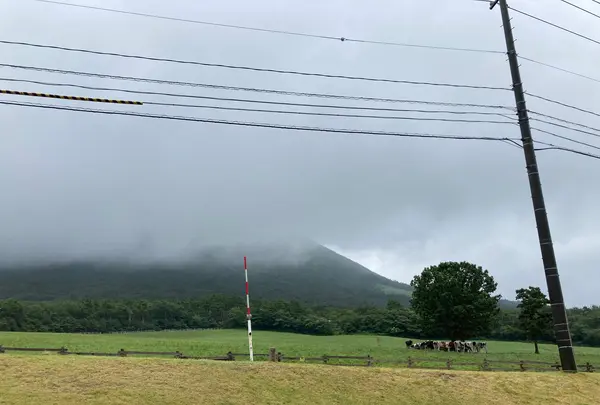 大山まきばみるくの里の写真・動画_image_628052