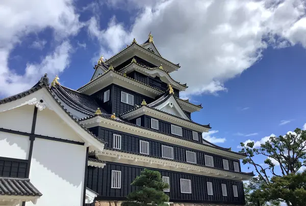 岡山城の写真・動画_image_628887