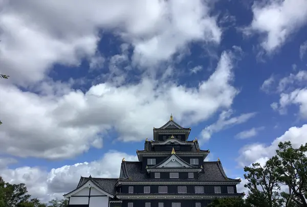 岡山城の写真・動画_image_628889
