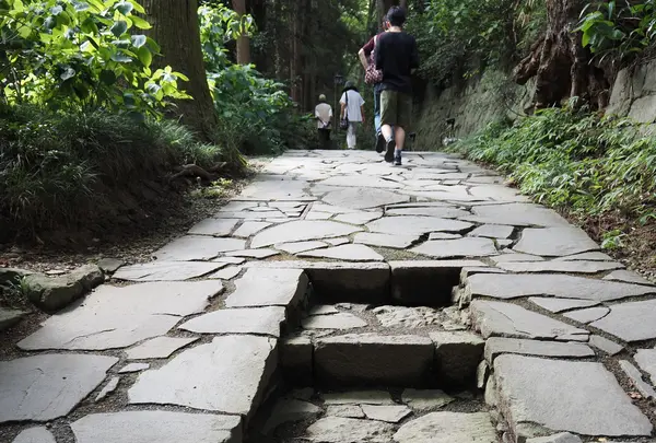瑞鳳殿（仙台藩租伊達政宗公御廟）の写真・動画_image_629117