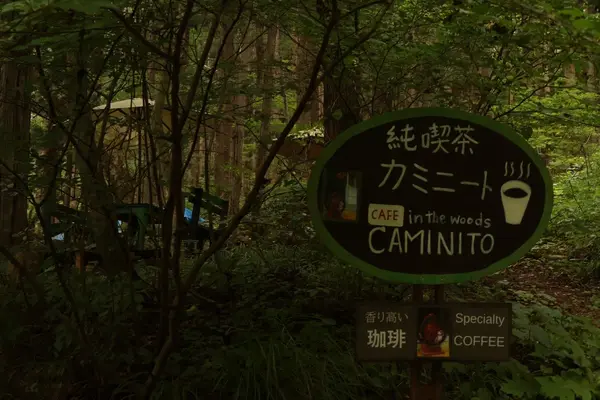 大出の吊り橋の写真・動画_image_629329