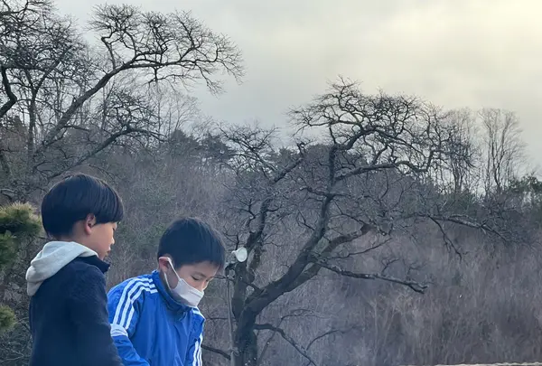 森の駅yodgeの写真・動画_image_629471