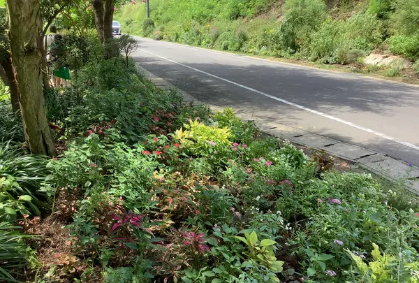 地中美術館の写真・動画_image_630011