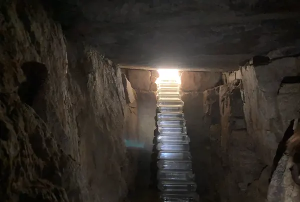 家プロジェクト「護王神社」の写真・動画_image_630115