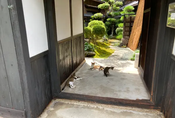 家プロジェクト 石橋 Ishibashiの写真・動画_image_630123