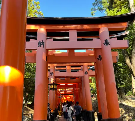 伏見稲荷大社の写真・動画_image_630205