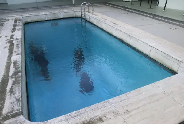 金沢21世紀美術館の写真・動画_image_63022