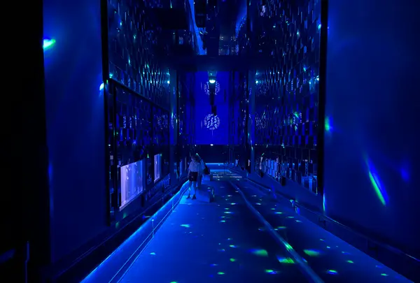 すみだ水族館の写真・動画_image_630824