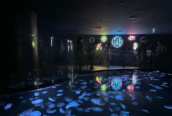 すみだ水族館の写真・動画_image_630831