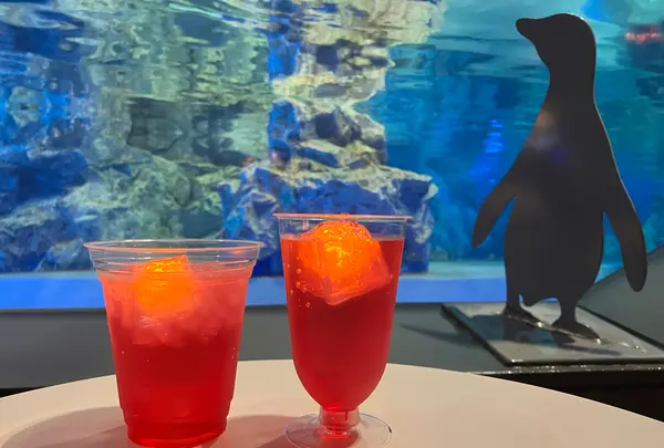 すみだ水族館の写真・動画_image_630833