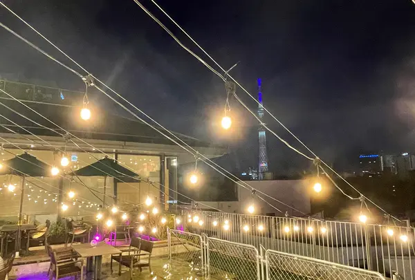 浅草横町の写真・動画_image_630928