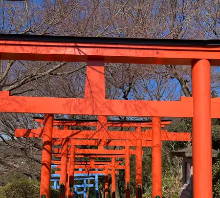 織姫神社の写真・動画_image_631092