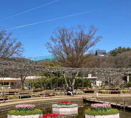 あしかがフラワーパークの写真・動画_image_631098