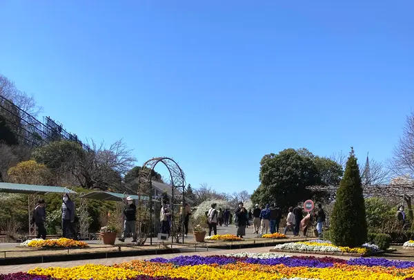 あしかがフラワーパークの写真・動画_image_631099