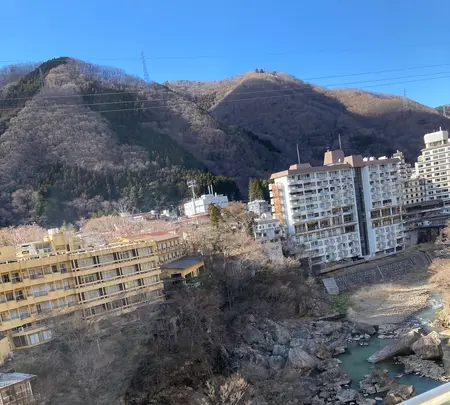 大江戸温泉物語 鬼怒川温泉 ホテル鬼怒川御苑の写真・動画_image_631108