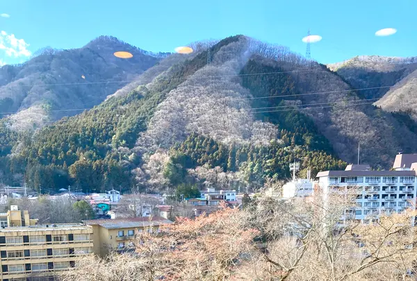大江戸温泉物語 鬼怒川温泉 ホテル鬼怒川御苑の写真・動画_image_631112