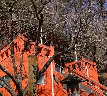 鬼怒川温泉神社の写真・動画_image_631123