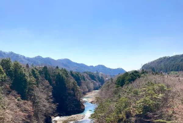 鬼怒楯岩大吊橋の写真・動画_image_631130