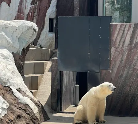 上野動物園の写真・動画_image_631199