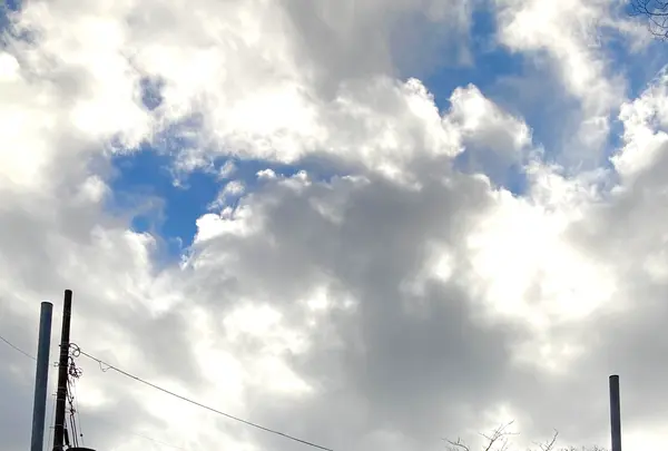 箱根駅伝 芦ノ湖ゴール・スタートの写真・動画_image_631664