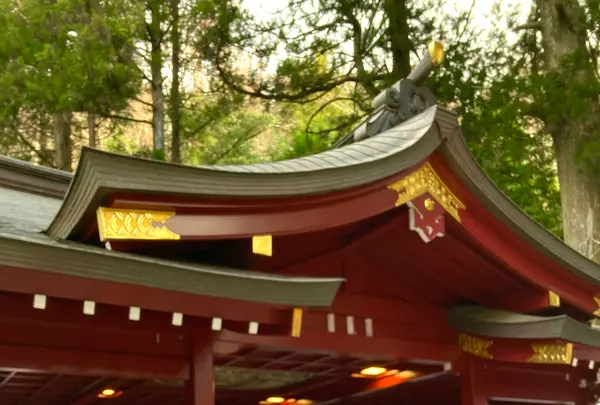 九頭龍神社（新宮）の写真・動画_image_631668