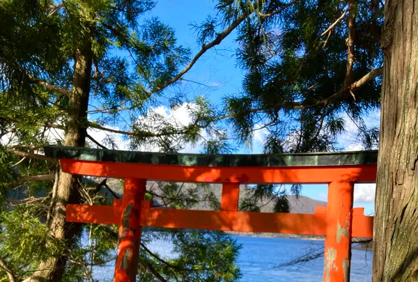 九頭龍神社（本宮）の写真・動画_image_631673