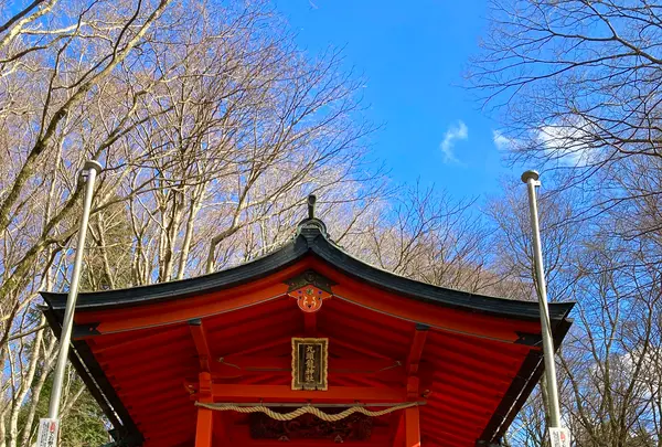 九頭龍神社（本宮）の写真・動画_image_631678