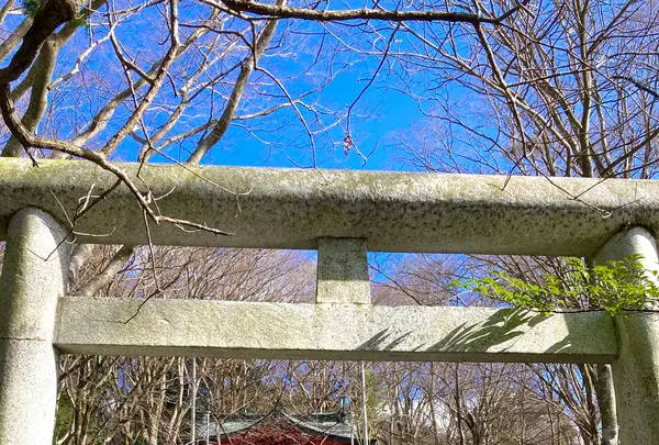 九頭龍神社（本宮）の写真・動画_image_631679