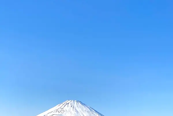 大涌谷の写真・動画_image_631696