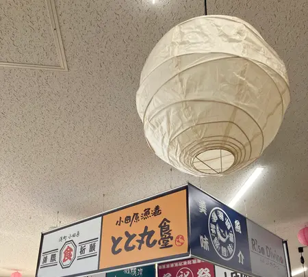 小田原漁港 とと丸食堂の写真・動画_image_631723