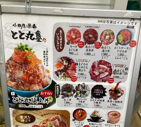 小田原漁港 とと丸食堂の写真・動画_image_631725