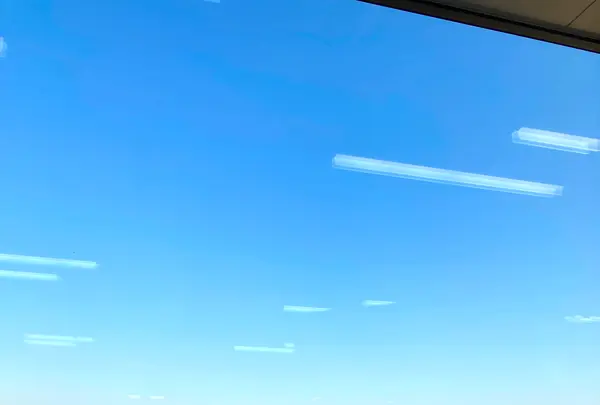 小田原漁港 とと丸食堂の写真・動画_image_631726