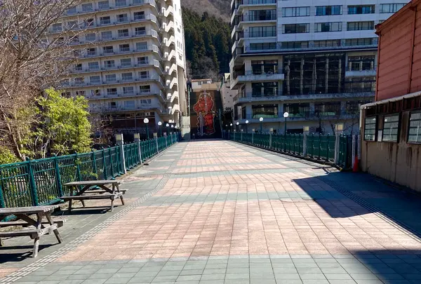 鬼怒川温泉ふれあい橋の写真・動画_image_631849