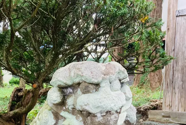 常堅寺の写真・動画_image_631943
